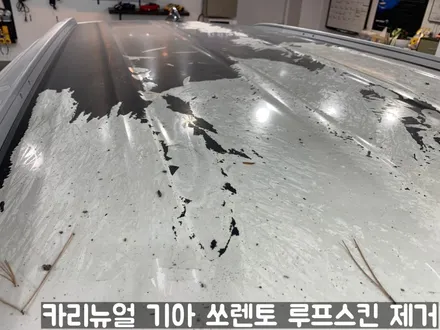 기아 쏘렌토 루프스킨 제거시공! 동작구 랩핑전문점 카리뉴얼 / 서울 동작구