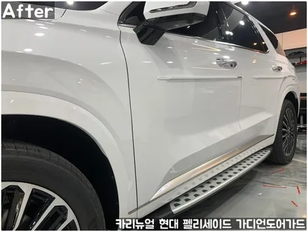 현대 팰리세이드 가디언 도어가드 싱글패키지 동작구 보라매 랩핑전문점 카리뉴얼 / 서울 동작구