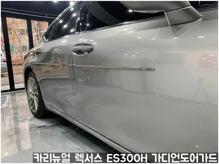 렉서스 ES300H 가디언도어가드 메탈릭티타늄 싱글패키지 동작구 랩핑전문점 카리뉴얼 / 서울 동작구