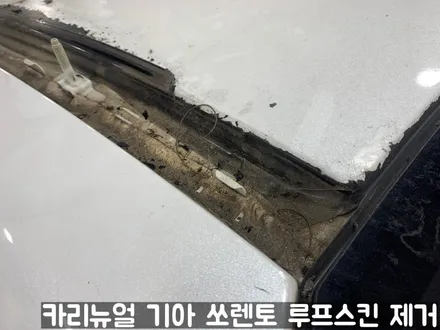 기아 쏘렌토 루프스킨 제거시공! 동작구 랩핑전문점 카리뉴얼 / 서울 동작구