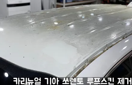 기아 쏘렌토 루프스킨 제거시공! 동작구 랩핑전문점 카리뉴얼 / 서울 동작구