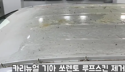 기아 쏘렌토 루프스킨 제거시공! 동작구 랩핑전문점 카리뉴얼 / 서울 동작구
