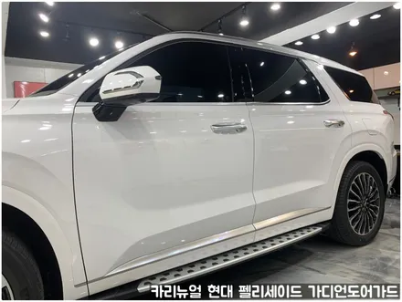현대 팰리세이드 가디언 도어가드 싱글패키지 동작구 보라매 랩핑전문점 카리뉴얼 / 서울 동작구