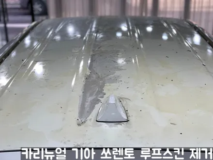 기아 쏘렌토 루프스킨 제거시공! 동작구 랩핑전문점 카리뉴얼 / 서울 동작구