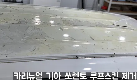 기아 쏘렌토 루프스킨 제거시공! 동작구 랩핑전문점 카리뉴얼 / 서울 동작구