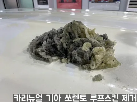 기아 쏘렌토 루프스킨 제거시공! 동작구 랩핑전문점 카리뉴얼 / 서울 동작구