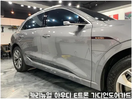 아우디 E트론 가디언 도어가드 싱글패키지 동작구 보라매 랩핑전문점 카리뉴얼 / 서울 동작구