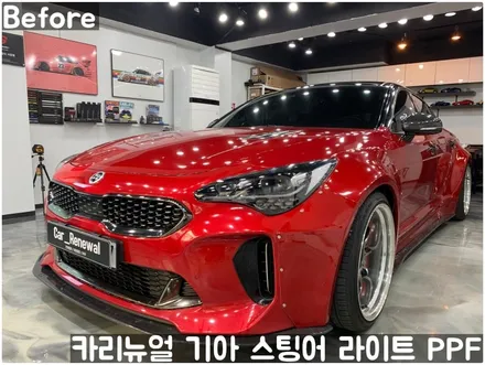 기아 스팅어 헤드라이트 PPF로 스톤칩 스크래치 방지! 동작구 랩핑전문점 카리뉴얼 / 서울 동작구