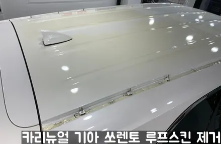 기아 쏘렌토 루프스킨 제거시공! 동작구 랩핑전문점 카리뉴얼 / 서울 동작구
