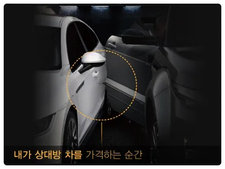 현대 팰리세이드 가디언 도어가드 싱글패키지 동작구 보라매 랩핑전문점 카리뉴얼 / 서울 동작구