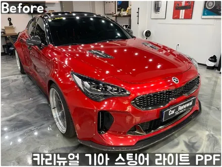 기아 스팅어 헤드라이트 PPF로 스톤칩 스크래치 방지! 동작구 랩핑전문점 카리뉴얼 / 서울 동작구