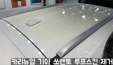 기아 쏘렌토 루프스킨 제거시공! 동작구 랩핑전문점 카리뉴얼 / 서울 동작구