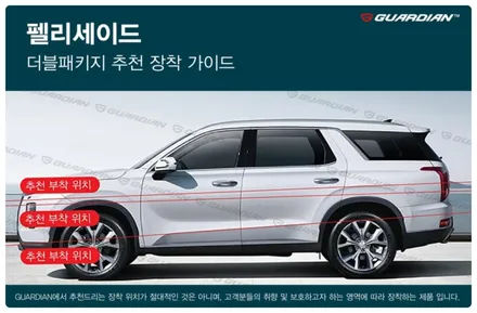 현대 팰리세이드 가디언 도어가드 싱글패키지 동작구 보라매 랩핑전문점 카리뉴얼 / 서울 동작구