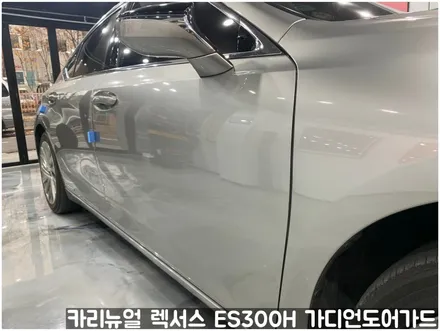 렉서스 ES300H 가디언도어가드 메탈릭티타늄 싱글패키지 동작구 랩핑전문점 카리뉴얼 / 서울 동작구