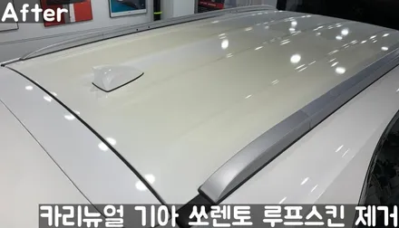 기아 쏘렌토 루프스킨 제거시공! 동작구 랩핑전문점 카리뉴얼 / 서울 동작구