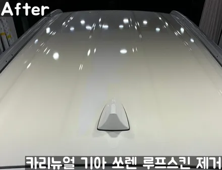 기아 쏘렌토 루프스킨 제거시공! 동작구 랩핑전문점 카리뉴얼 / 서울 동작구