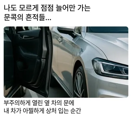 서울 동작구 팰리세이드 문콕방지도어가드｜가디언 네오가드 시공 후기 / 서울 동작