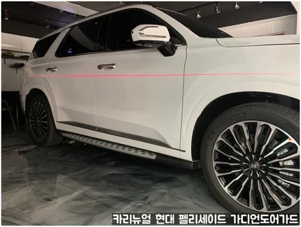 현대 팰리세이드 가디언 도어가드 싱글패키지 동작구 보라매 랩핑전문점 카리뉴얼 / 서울 동작구