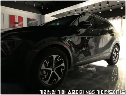 기아 스포티지 NQ5 가디언 도어가드 싱글패키지 동작구 보라매 랩핑전문점 카리뉴얼 / 서울 동작구