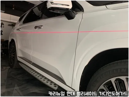 현대 팰리세이드 가디언 도어가드 싱글패키지 동작구 보라매 랩핑전문점 카리뉴얼 / 서울 동작구