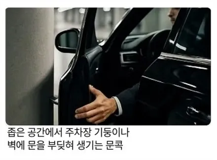 서울 동작구 팰리세이드 문콕방지도어가드｜가디언 네오가드 시공 후기 / 서울 동작