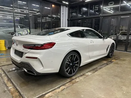 대전 PPF 신차검수부터 초 예민! BMW M850i 썬팅까지 그레이드가 달랐다 / 대전 유성