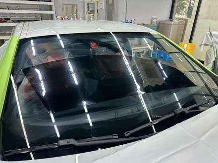 대전 PPF 신차검수부터 초 예민! BMW M850i 썬팅까지 그레이드가 달랐다 / 대전 유성