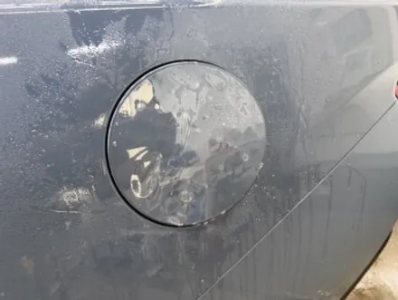 세종시 썬팅, 머스탱에 어항 썬팅이라니! / 대전 유성