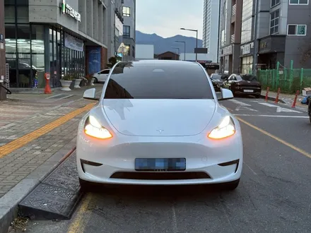 대전 테슬라 틴팅 신차검수, 핵심만 빠르게 체크하기 / 대전 유성