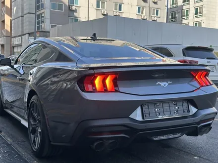 대전 자동차 선팅 머스탱에 어항 썬팅!? / 대전 유성