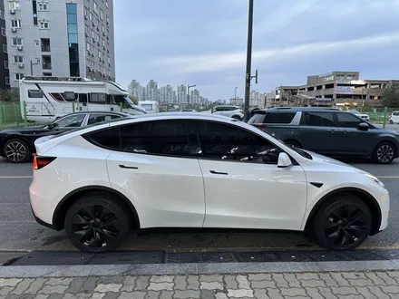 대전 테슬라 틴팅 신차검수, 핵심만 빠르게 체크하기 / 대전 유성
