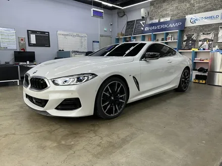 대전 PPF 신차검수부터 초 예민! BMW M850i 썬팅까지 그레이드가 달랐다 / 대전 유성
