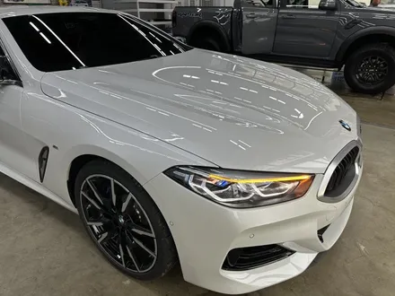 대전 PPF 신차검수부터 초 예민! BMW M850i 썬팅까지 그레이드가 달랐다 / 대전 유성