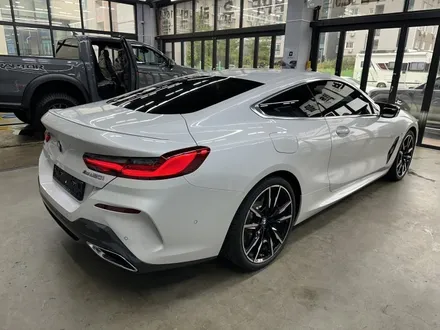 대전 PPF 신차검수부터 초 예민! BMW M850i 썬팅까지 그레이드가 달랐다 / 대전 유성