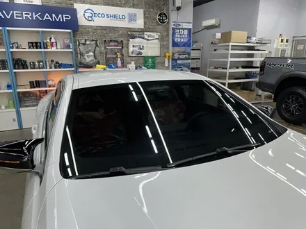 대전 PPF 신차검수부터 초 예민! BMW M850i 썬팅까지 그레이드가 달랐다 / 대전 유성