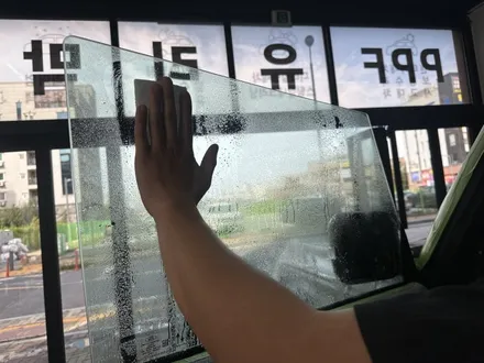 대전 틴팅 포드 브롱코 가성비 좋은 출발. 로얄본드 / 대전 유성