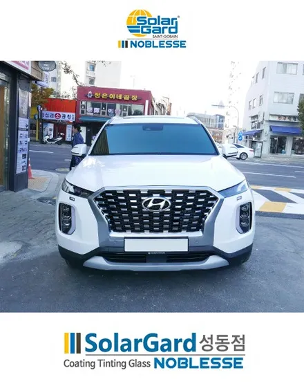 2019 펠리세이드 신차패키지(솔라가드 노블레스 썬팅,블랙박스,PPF) / 서울 성동구 행당동