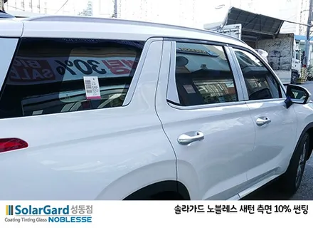 2019 펠리세이드, 솔라가드 반사필름 HP새턴 썬팅 영상 / 서울 성동구 행당동