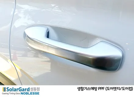 2019 펠리세이드, 솔라가드 반사필름 HP새턴 썬팅 영상 / 서울 성동구 행당동