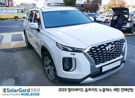 2019 펠리세이드 신차패키지(솔라가드 노블레스 썬팅,블랙박스,PPF) / 서울 성동구 행당동