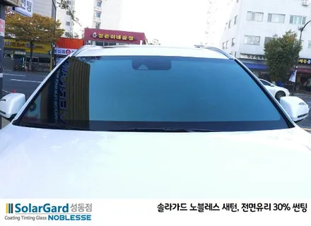 2019 펠리세이드 신차패키지(솔라가드 노블레스 썬팅,블랙박스,PPF) / 서울 성동구 행당동