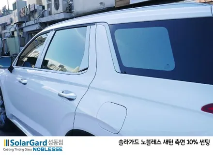 2019 펠리세이드 신차패키지(솔라가드 노블레스 썬팅,블랙박스,PPF) / 서울 성동구 행당동