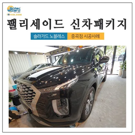 팰리세이드 타임리스블랙 신차패키지 원스톱으로 한번에 진행! / 광진구 중곡동