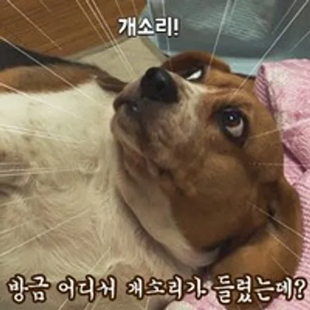 페이스리프트된 신형 투싼 신차패키지 작업기! / 광진구 중곡동