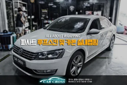 파사트 루프스킨 카본블랙 사이드미러 및 실내랩핑! / 경기 광명