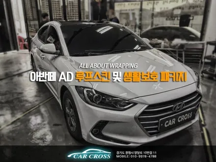 아반떼 AD루프스킨 및 생활보호 패키지 / 경기 광명