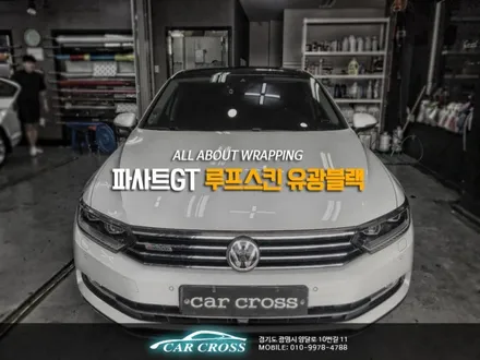 파사트GT 루프스킨 샤크안테나가 문제라고? / 경기 광명