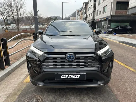 도요타 RAV4, 본넷 패키지를 통해 주요 부위 완벽 커버! / 경기 광명