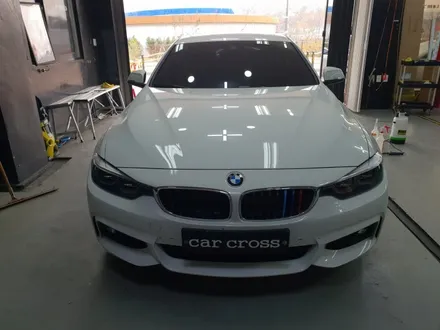 BMW 435i 그릴 블랙 랩핑&테일램프 톤다운으로 포스 증가! / 경기 광명