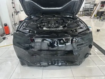 BMW M5 전체 블랙 PPF로 완벽한 컬러 체인지! / 경기 광명